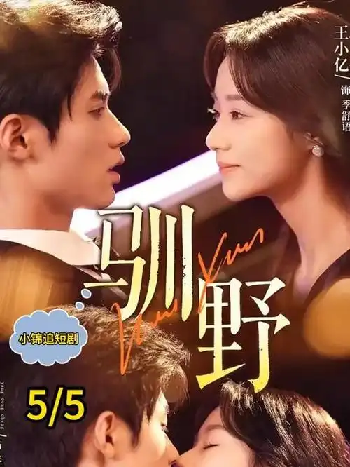 第七封印者 海报